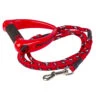 Radar 5' Bungee Dog Leash -AquaFit Shop 2020 radar 5 bungee dog leash red 1
