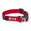 Radar Dog Collar - Red 1 Radar Dog Collar - Red -AquaFit Shop 2020 radar dog collar red 1